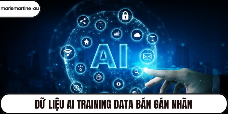 Dữ liệu AI Training Data bán gán nhãn