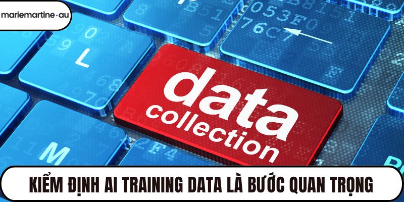 Kiểm định AI Training Data là bước quan trọng