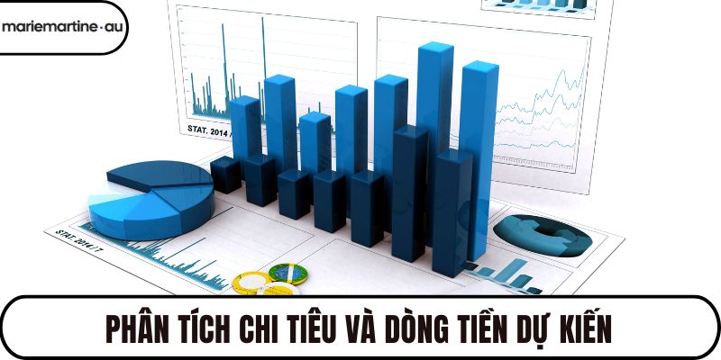 Phân tích chi tiêu và dòng tiền dự kiến