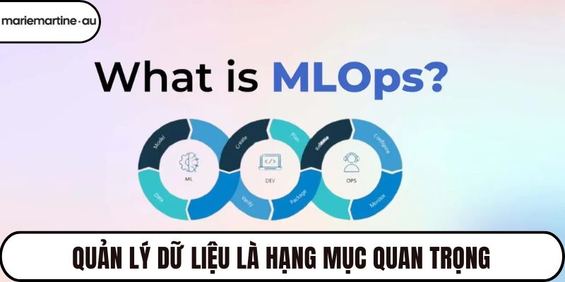 Quản lý dữ liệu là hạng mục quan trọng