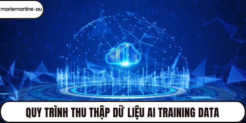 Quy trình thu thập dữ liệu AI Training Data