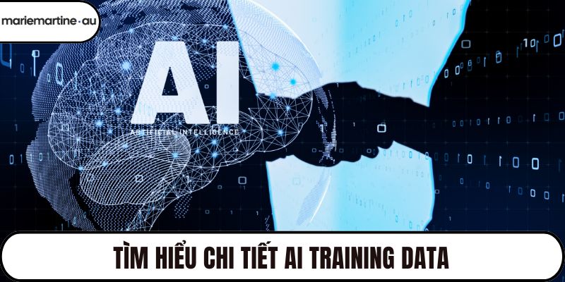 Tìm hiểu chi tiết AI Training Data