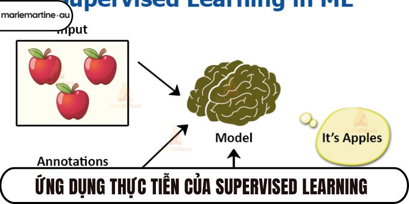 Ứng dụng thực tiễn của Supervised learning trong công nghiệp